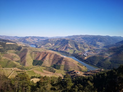 Mercado-da-saudade-Nos-produits-vins-et-alcools-Région-du-Haut-Douro-La-Vallée-du-Douro